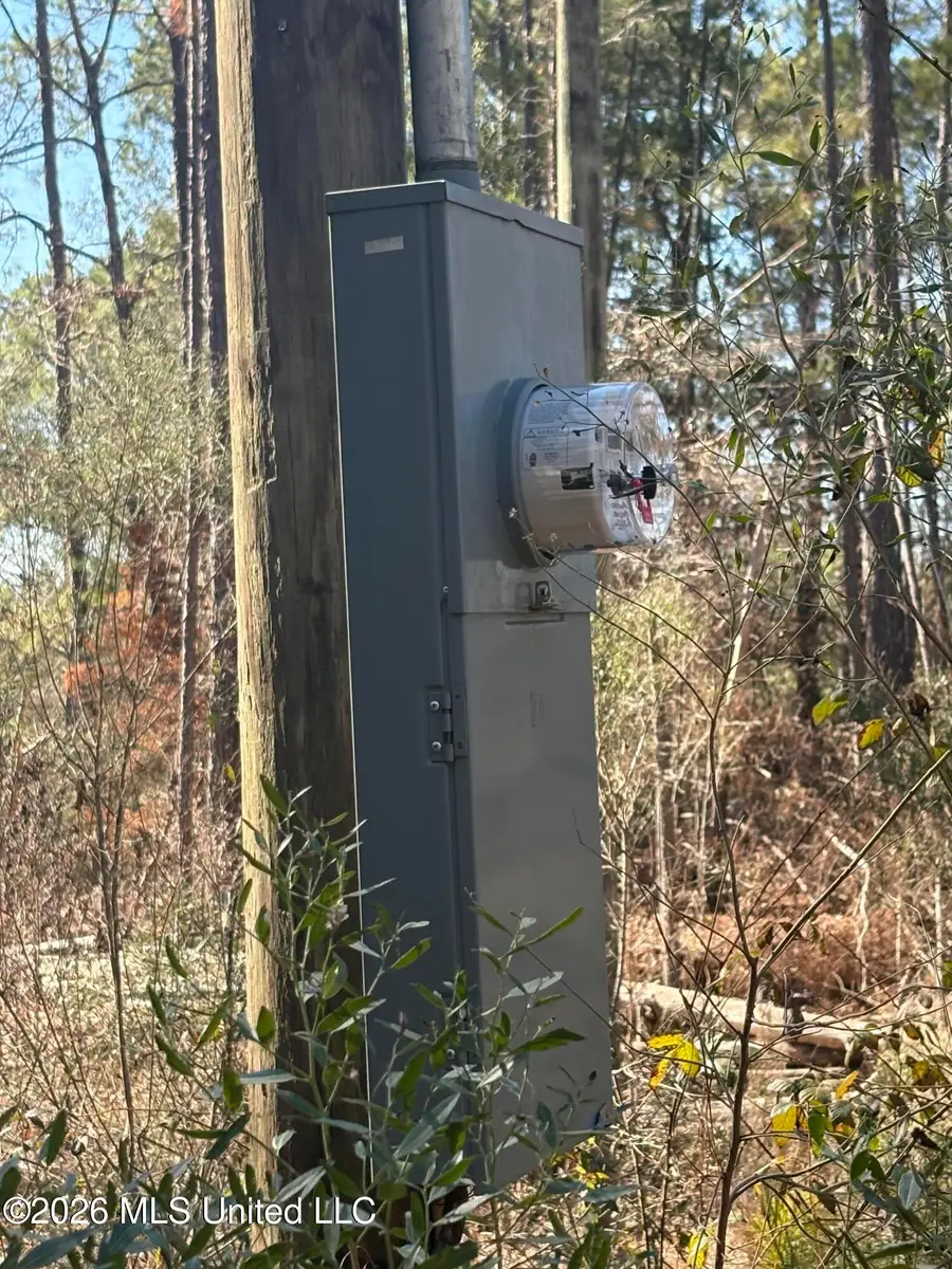 11330 Mississippi 429, Kosciusko, MS 39090 - #2