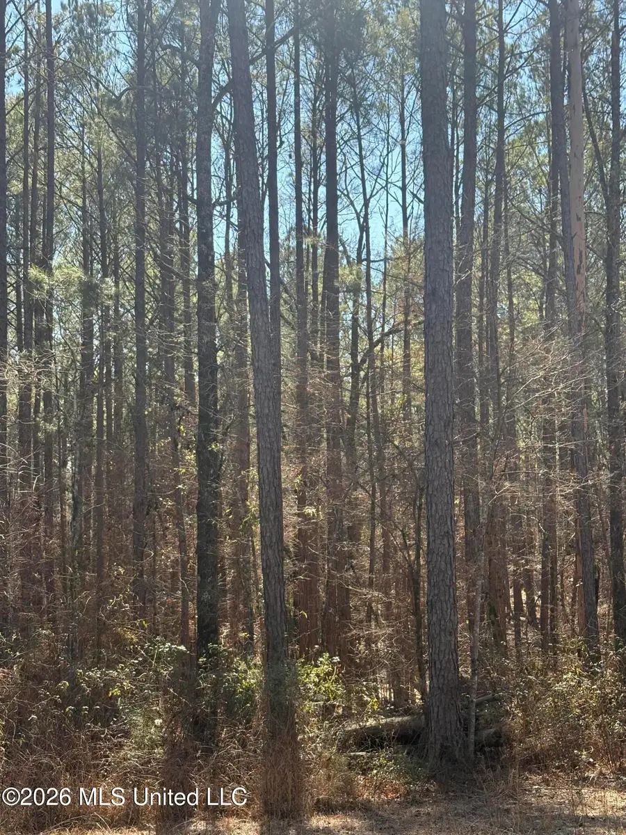 11330 Mississippi 429, Kosciusko, MS 39090 - #3