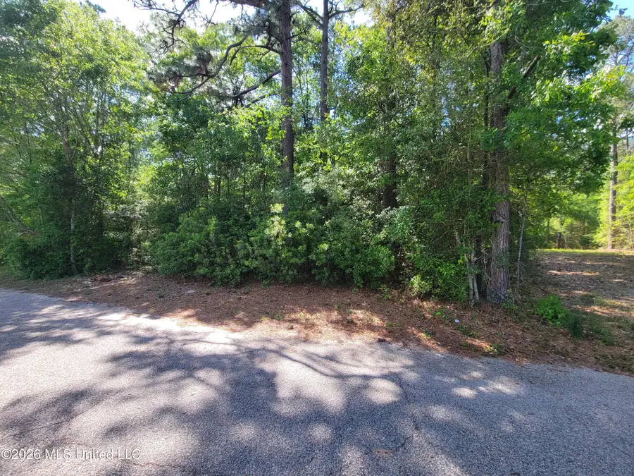 0 Cunningham Road, Saucier, MS 39574 - #2