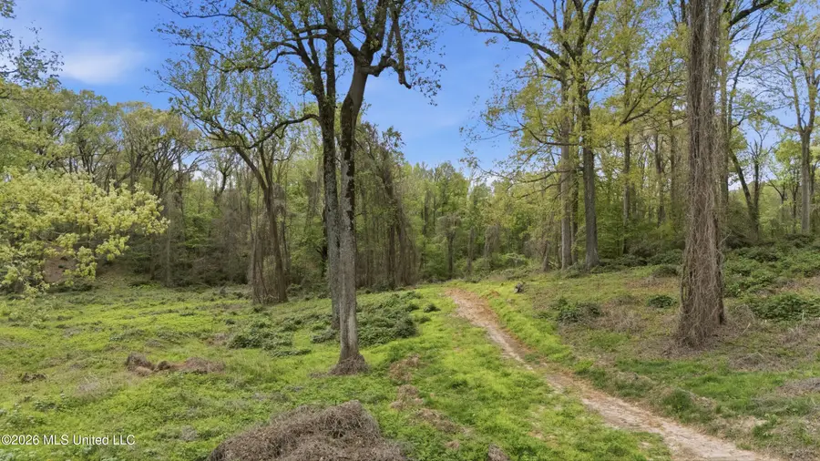 6 Nail Road, Walls, MS 38680 - #3