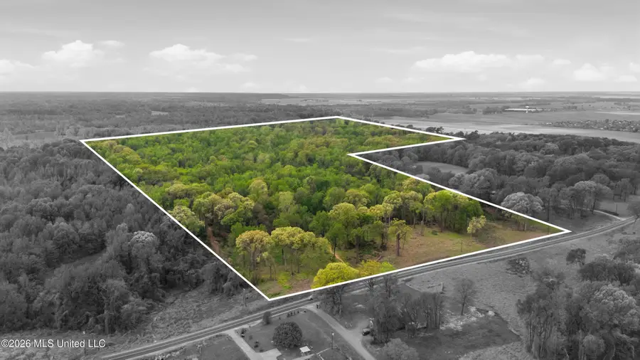 5 Nail Road, Walls, MS 38680 - #2