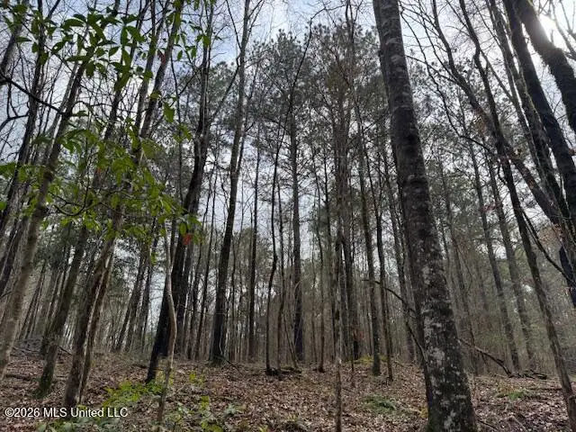 00 SW Auburn Drive, Bogue Chitto, MS 39629 - #3