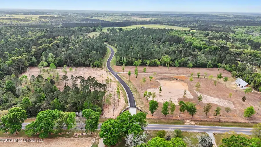 Lot 6 Pine Ridge Lane, Lucedale, MS 39452 - #3
