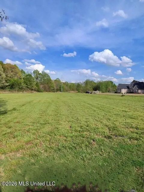 00 Miller Station Lane, Olive Branch, MS 38654 - #3
