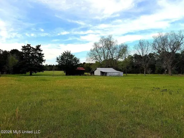 30 Acres Hwy 13, Lumberton, MS 39455