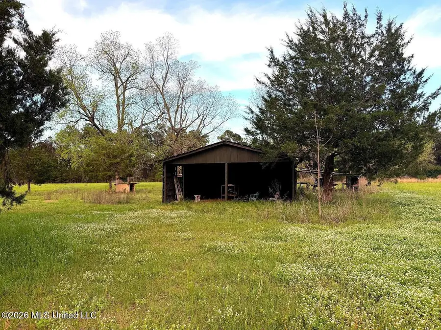 30 Acres Hwy 13, Lumberton, MS 39455 - #3