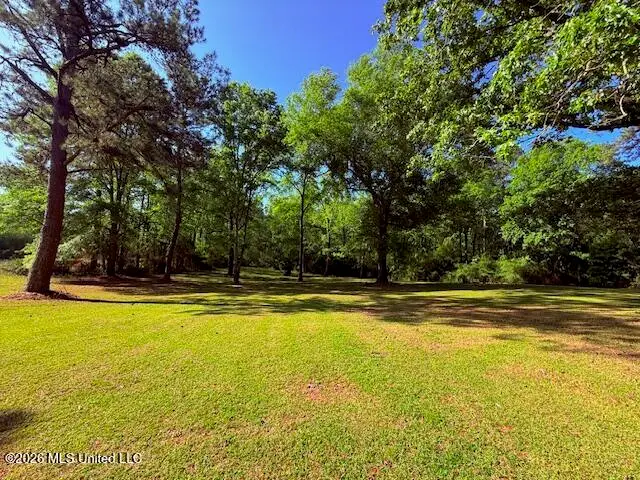 209 Oral Church Road, Tylertown, MS 39667 - #3