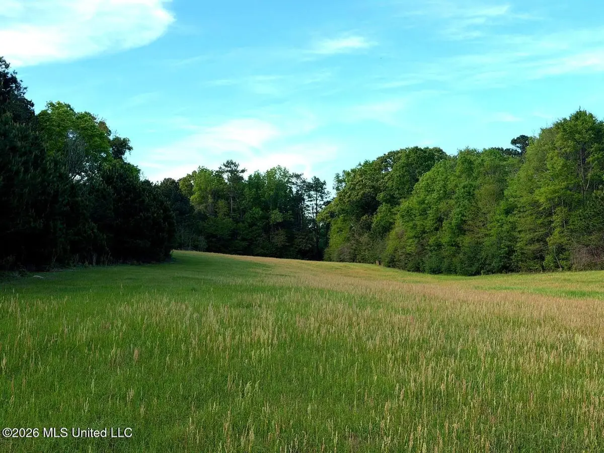36 Acres Hwy 13, Lumberton, MS 39455 - #1