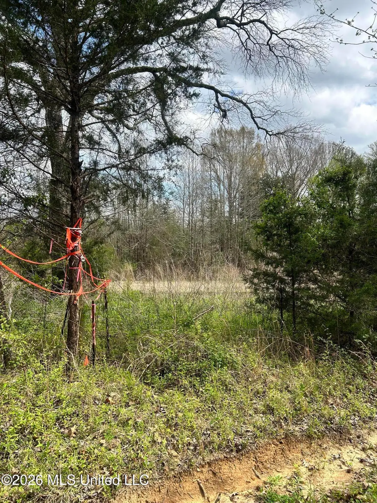 Lot 1 Matthews Drive, Byhalia, MS 38611 - #1