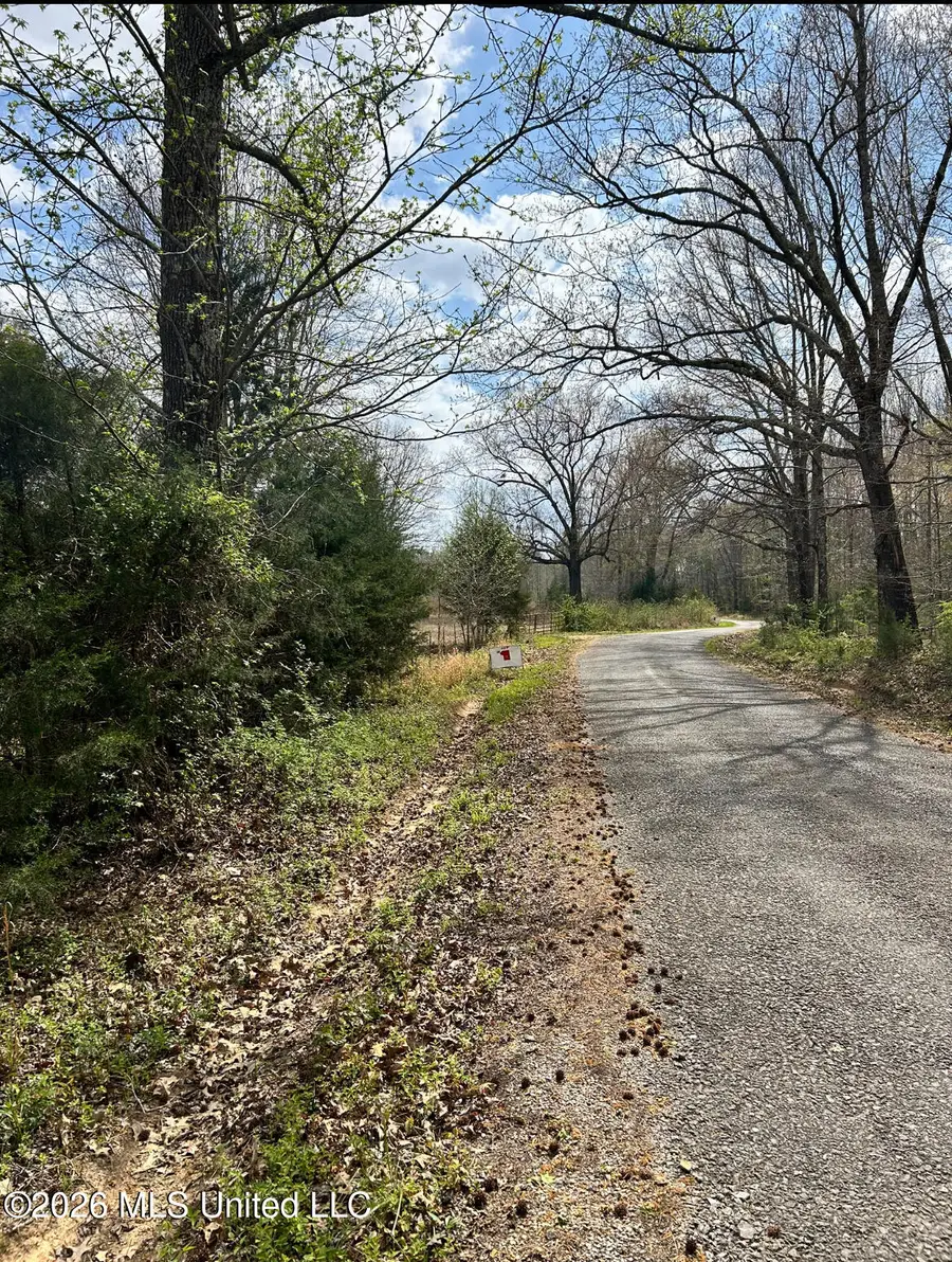 Lot 3 Matthews Drive, Byhalia, MS 38611 - #2