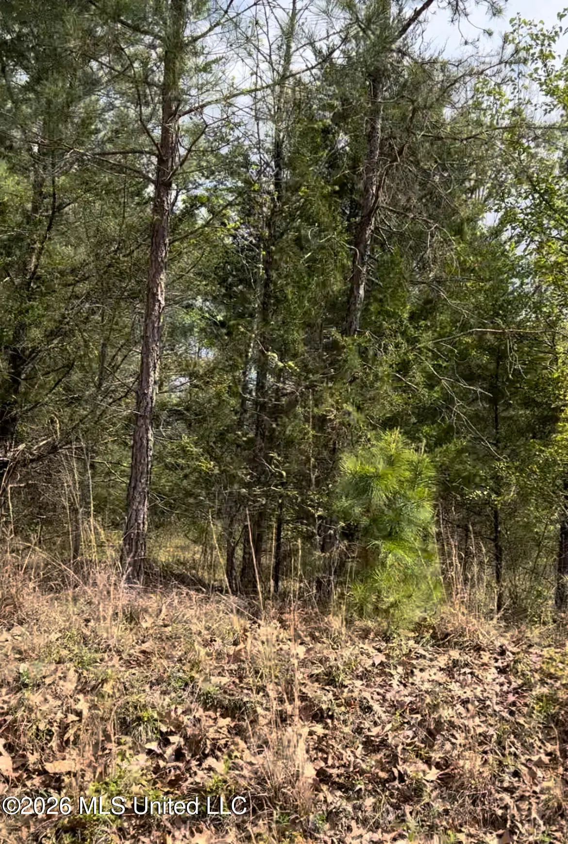 Lot 7 Matthews Drive, Byhalia, MS 38611 - #1