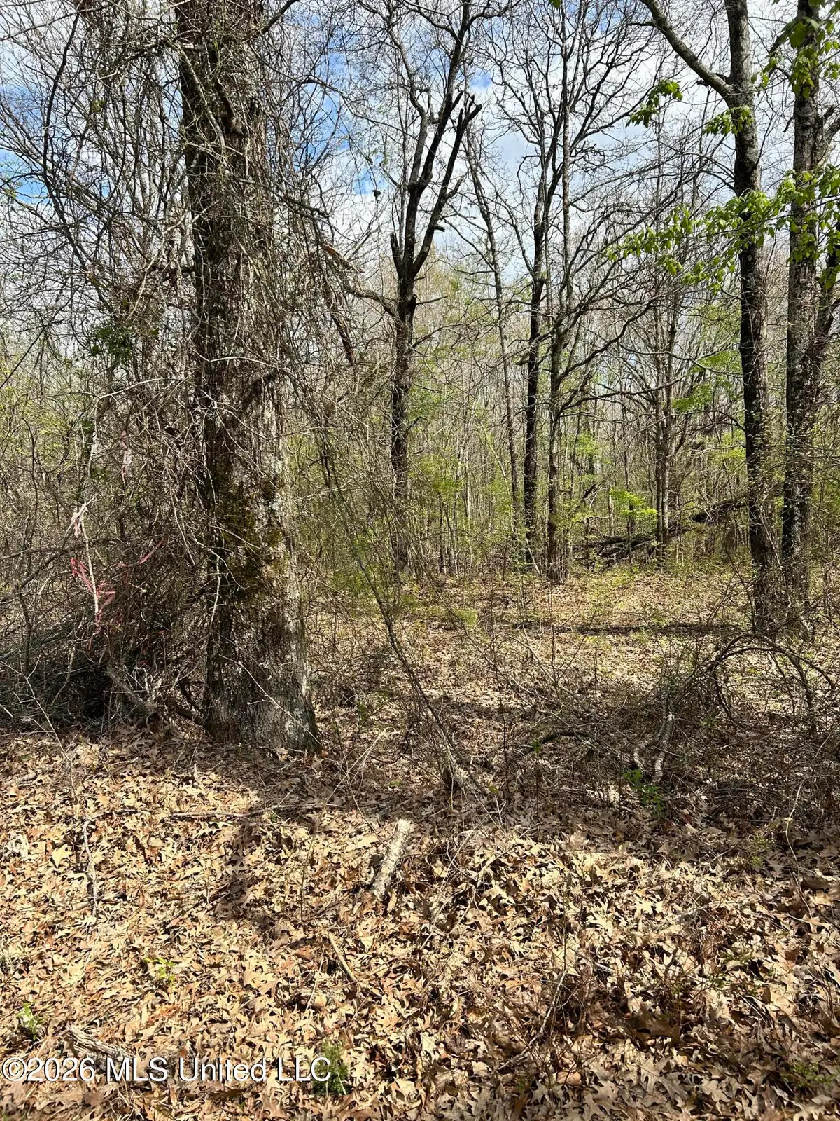 Lot 8 Matthews Drive, Byhalia, MS 38611 - #1