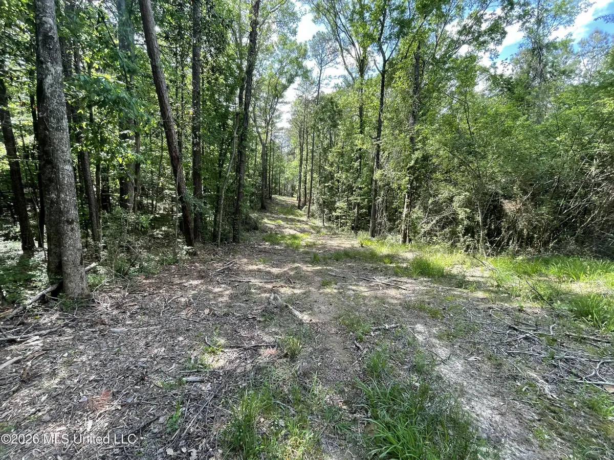 420 SE River Rd Drive, Bogue Chitto, MS 39629 - #1