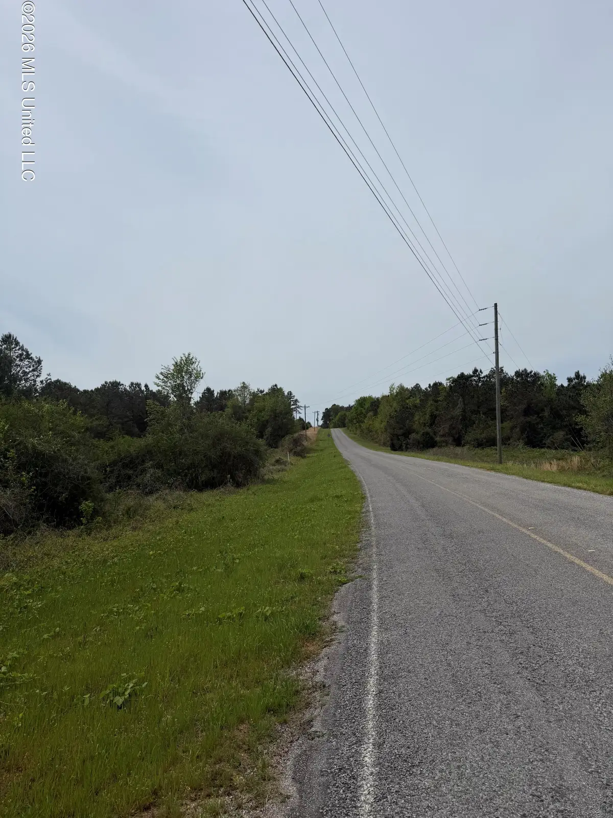 Old Jackson Road, De Kalb, MS 39328 - #1