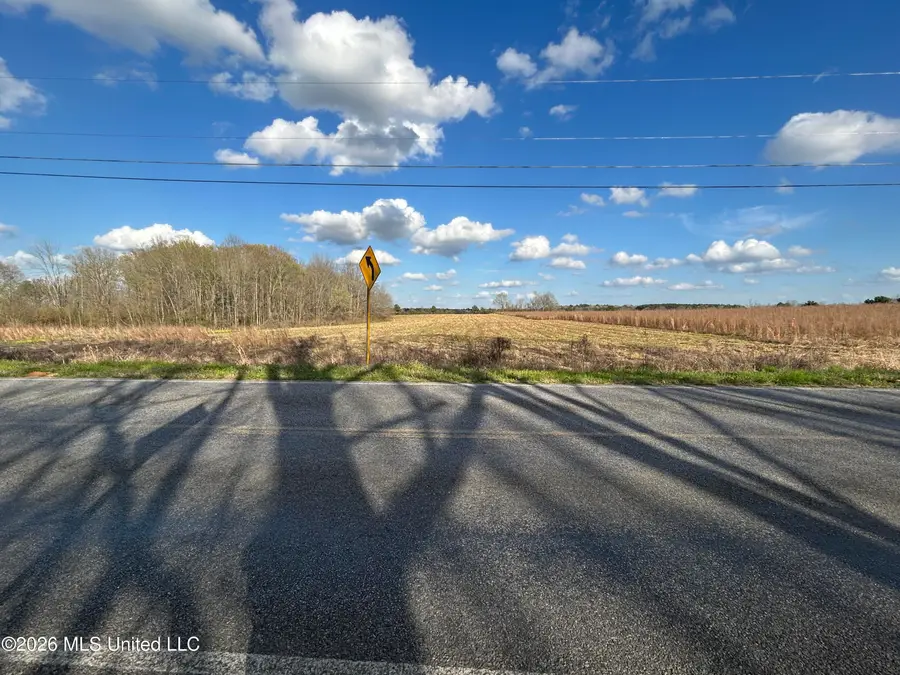 Old Hillsboro Road, Morton, MS 39117 - #3