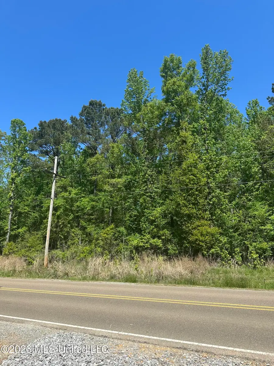 Robinson Springs Road, Madison, MS 39110 - #2
