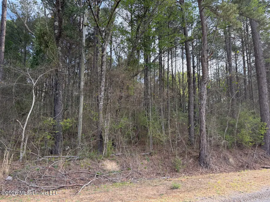 288 Galilee Road, Carthage, MS 39051 - #2