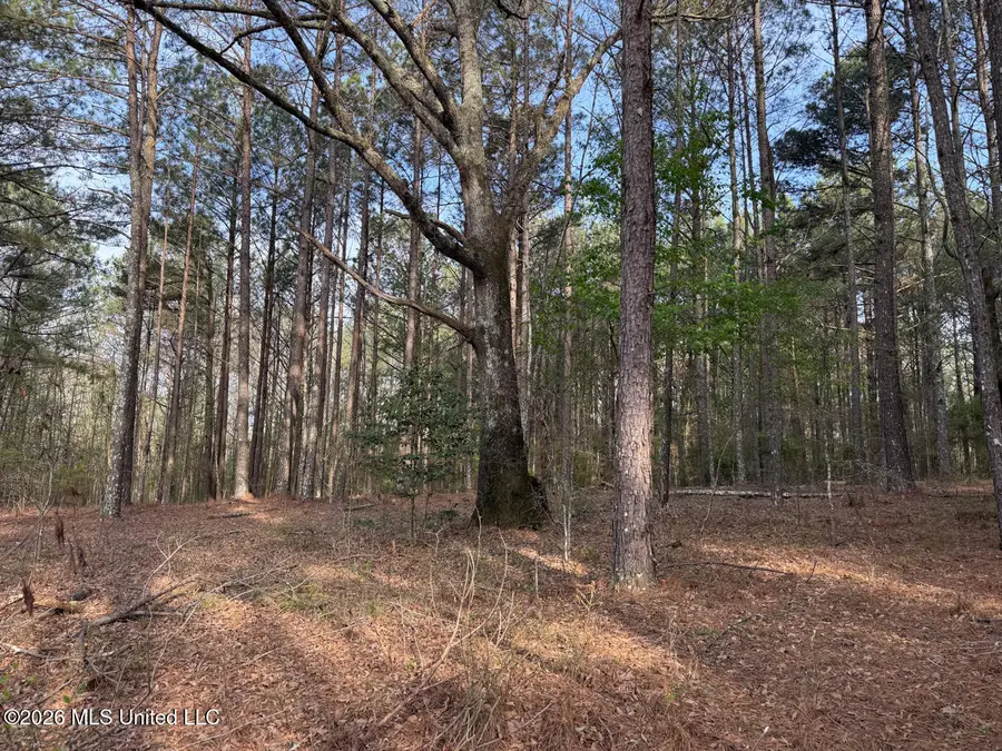 288 Galilee Road, Carthage, MS 39051 - #3