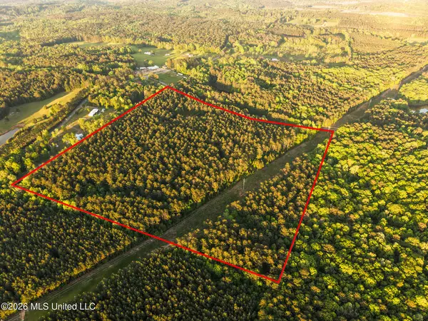 Dees Road, Meridian, MS 39301