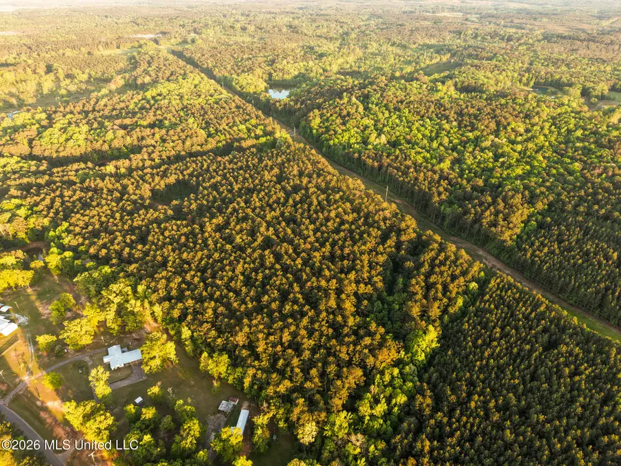 Dees Road, Meridian, MS 39301 - #3