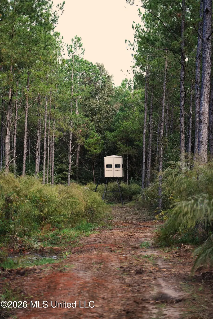 0 Mallalieu Drive, Ruth, MS 39662 - #2