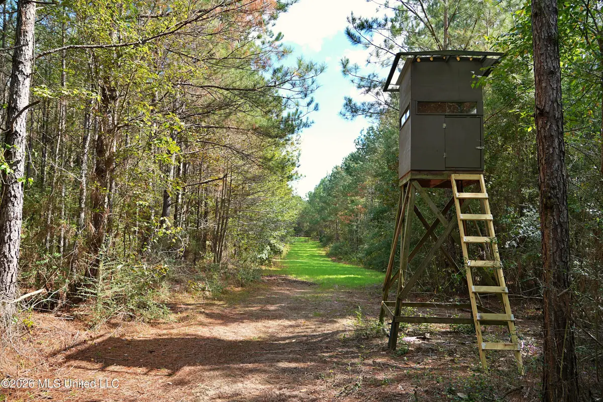 SE Pleasant Grove Road, Ruth, MS 39662 - #1