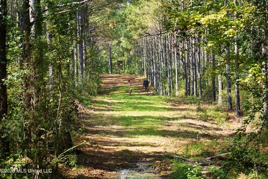 SE Pleasant Grove Road, Ruth, MS 39662 - #2