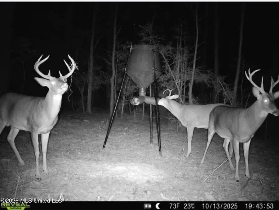 SE Pleasant Grove Road, Ruth, MS 39662 - #3