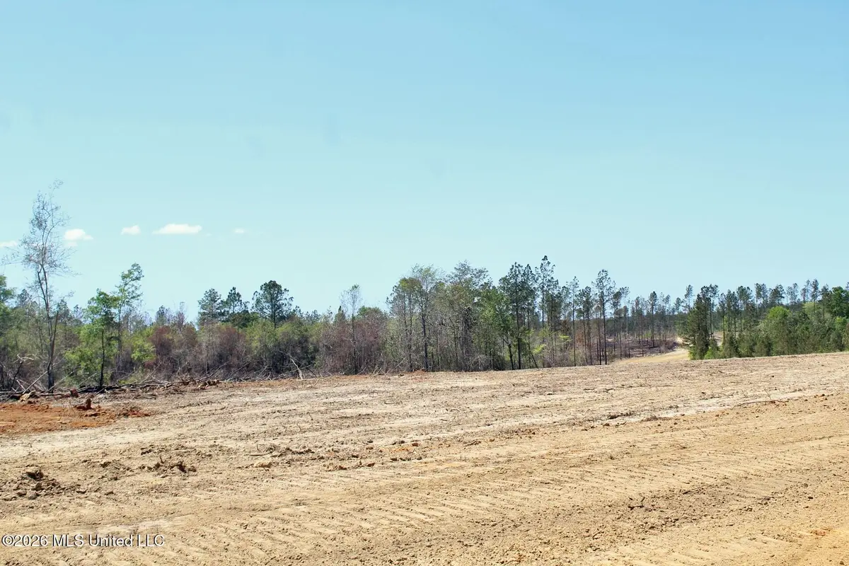 6.01ac Little Cedar Road, Lucedale, MS 39452 - #1