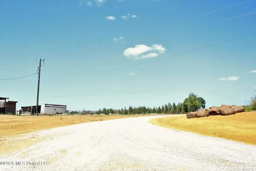 6.01ac Little Cedar Road, Lucedale, MS 39452 - #3