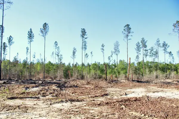 10.34ac Little Cedar Road, Lucedale, MS 39452