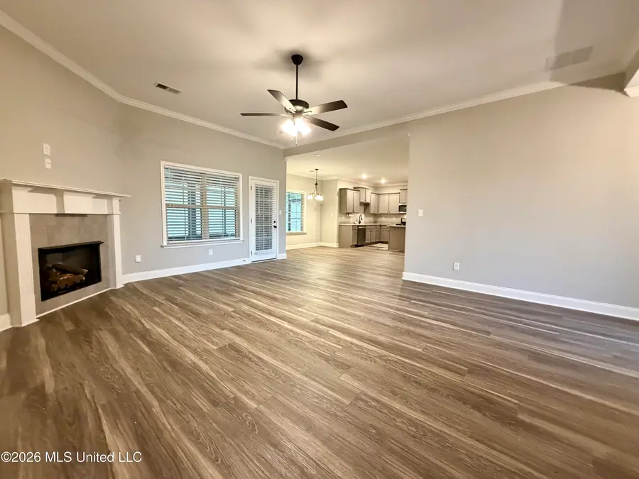 668 Millers Way, Nesbit, MS 38651 - #3
