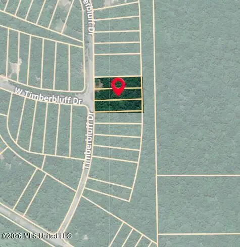 Timber Bluff Drive, Lumberton, MS 39455 - #1