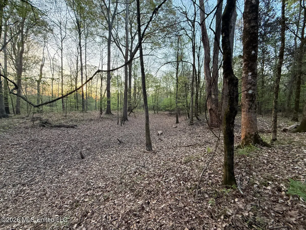 Owen Boone Road, Puckett, MS 39042 - #1