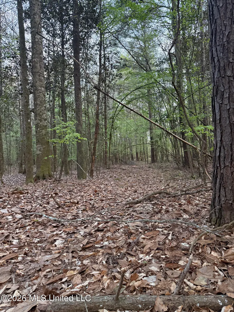 Owen Boone Road, Puckett, MS 39042 - #3