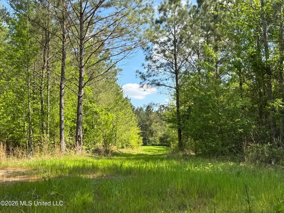 1479 Truesdale Road, Carthage, MS 39051 - #1