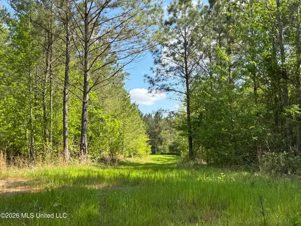 1479 Truesdale Road, Carthage, MS 39051