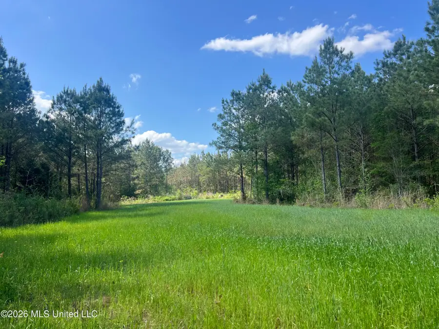 1479 Truesdale Road, Carthage, MS 39051 - #3