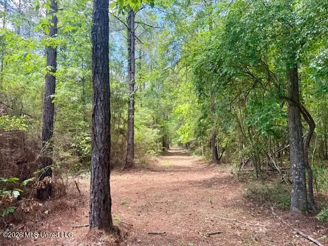 Magnolia Holmesville Road, McComb, MS 39648 - #2