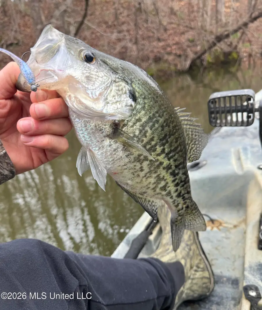 Lot 119 Dogwood Cove, Hernando, MS 38632 - #3