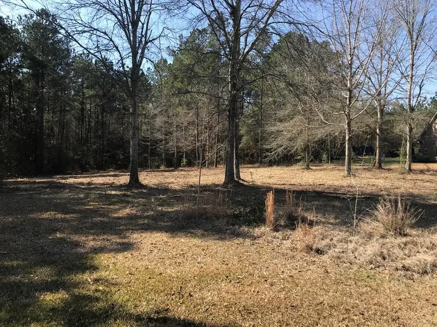 0 SE Skyward Lane, Brookhaven, MS 39601 - #3