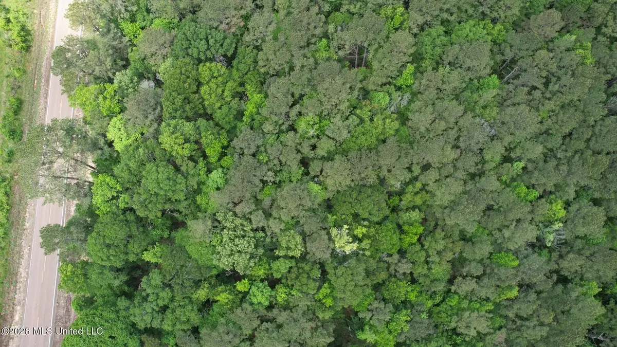 2538 Us-98, Smithdale, MS 39664 - #1