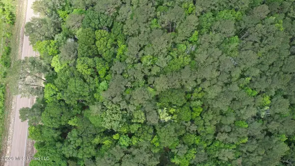 2538 Us-98, Smithdale, MS 39664