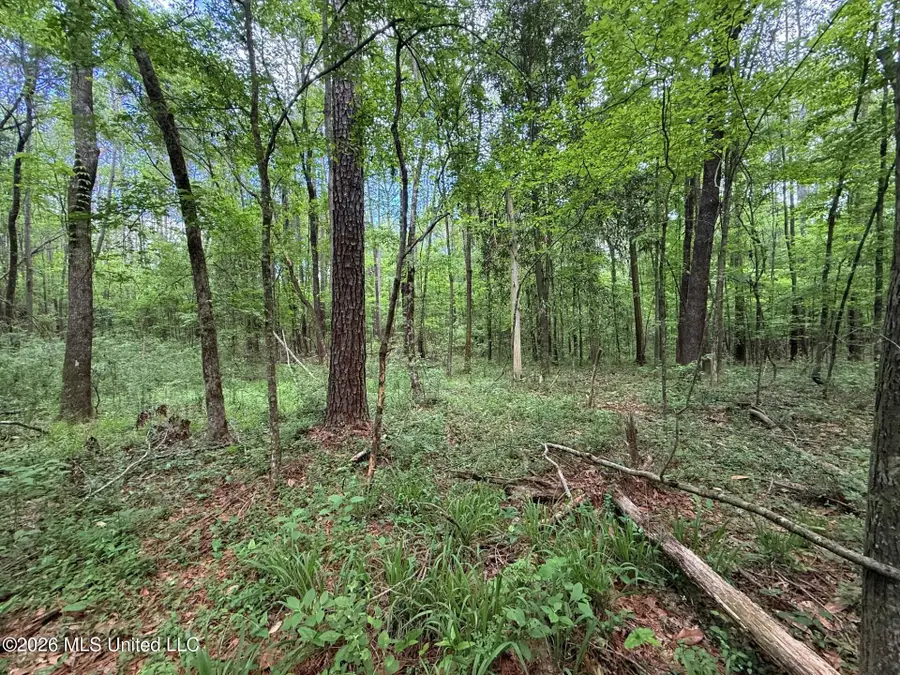 2538 Us-98, Smithdale, MS 39664 - #2