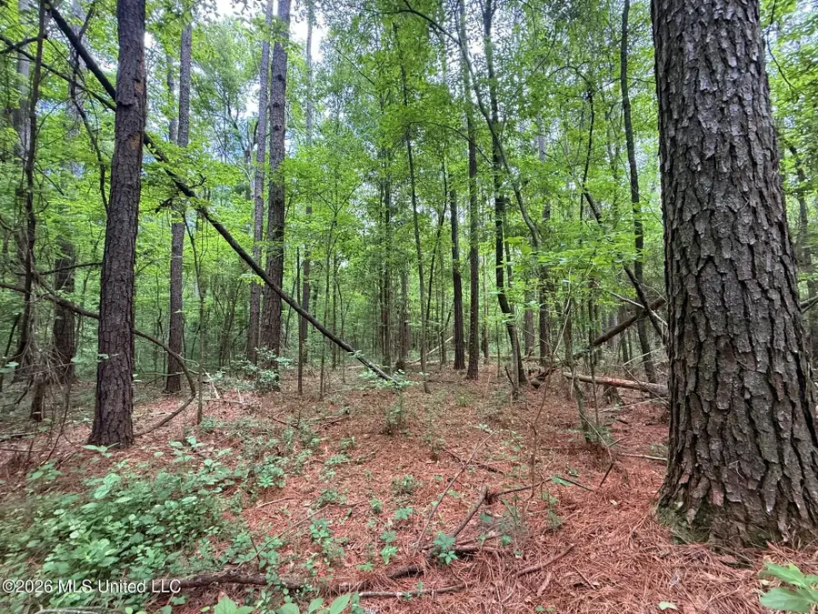 2538 Us-98, Smithdale, MS 39664 - #3