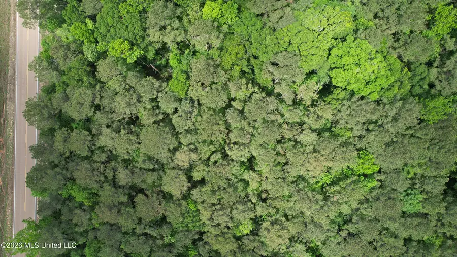 2536 Us-98, Smithdale, MS 39664 - #2