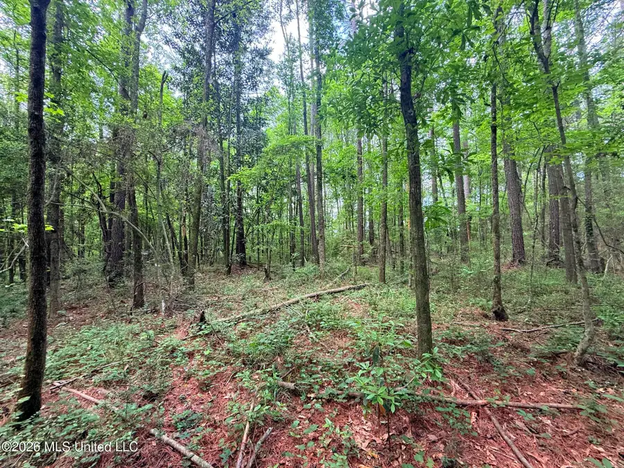 2536 Us-98, Smithdale, MS 39664 - #3