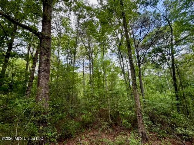 Conerly Drive, McComb, MS 39648 - #1