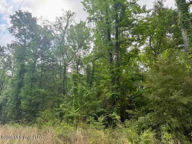 Conerly Drive, McComb, MS 39648 - #3