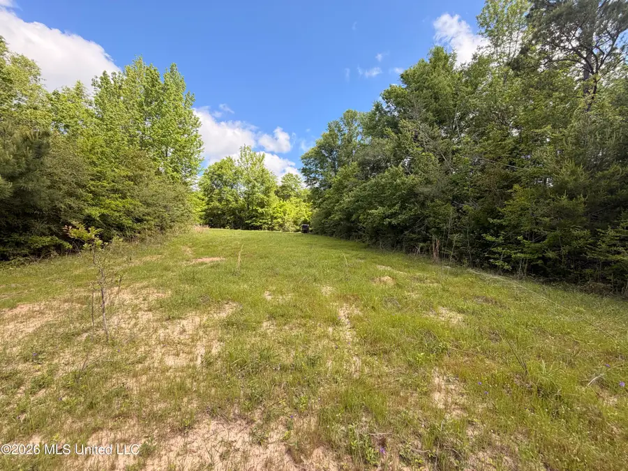 93 Hammond Road, Monticello, MS 39654 - #2